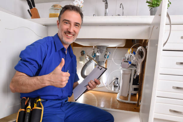 Best Garbage Disposal Repair and Installation  in Blackhawk, SD